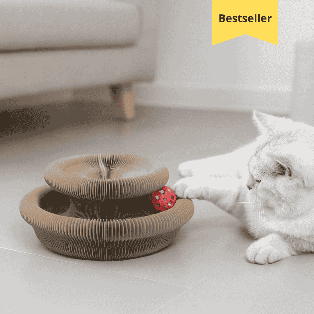 KittyRing™