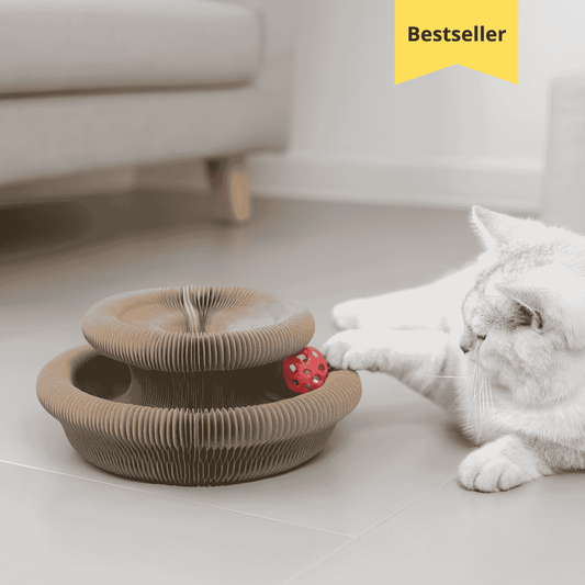 KittyRing™